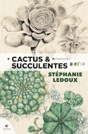 Cactus & succulentes